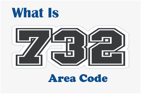 732 Halı ve Koltuk Yıkama