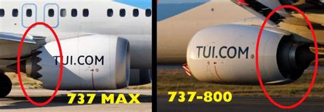 737 800 Vs Max