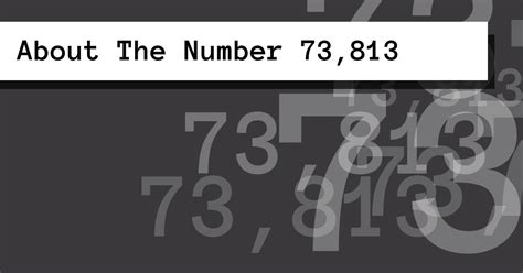 73813 Halı ve Koltuk Yıkama