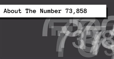 73858 Halı ve Koltuk Yıkama