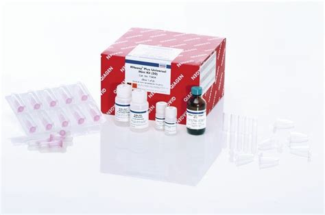 74104 Halı ve Koltuk Yıkama