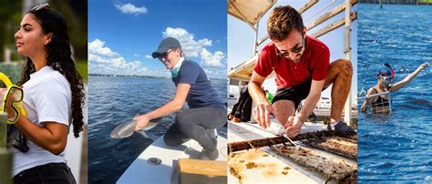 75 Marine Science Jobs and Work | Indeed - raincitystudios.com