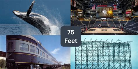 75 Feet To Meter