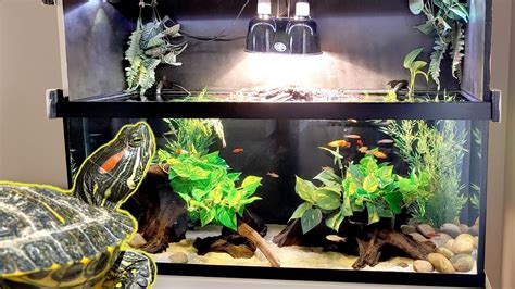 75 gallon turtle aquarium. 75 Gallons: 400 Watts: 500 Watts: 100 Gallons: 500 Watts: 600 Watts: 150 Gallons: 800 Watts: 1000 Watts: 2 – Type Of Turtle Tank Heaters. There are 2 types of turtle tank heaters available. ... Whether you’re putting fish or a turtle in your aquarium, you’ll need to buy the same product. 