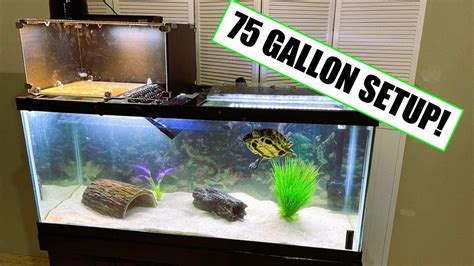 75 gallon turtle tank setup. Things To Know About 75 gallon turtle tank setup. 