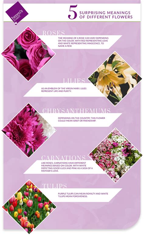 75 Romantic Flower Meanings Surprising Flower Meanings Woman Give Him His Flowers Meaning - Give Him His Flowers Meaning