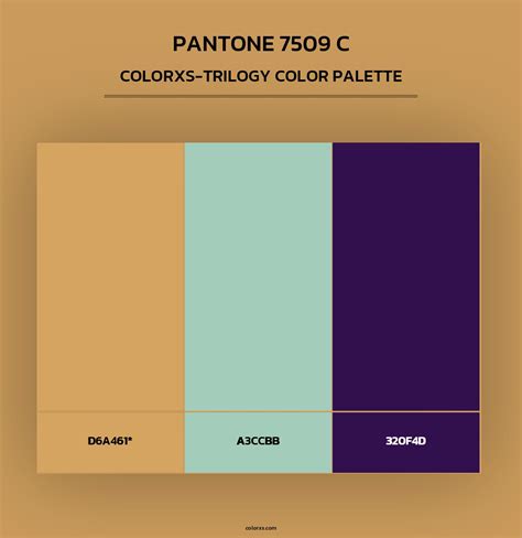 7509 Halı ve Koltuk Yıkama