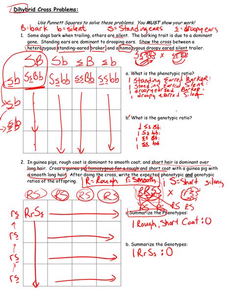 Read Online 76 34Mb Dihybrid Cross Practice Problems And Answers Full 