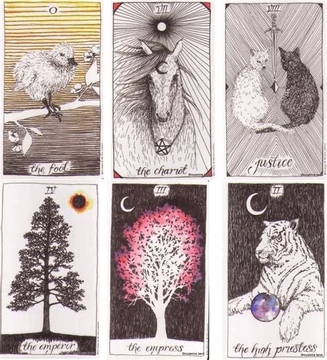 78 Wild Unknown Tarot Cards Meanings - Kim Krans TarotX