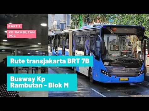 7B Busway: Celebrating the Feast: Traditions Surrounding the Assumption of Mary image 1