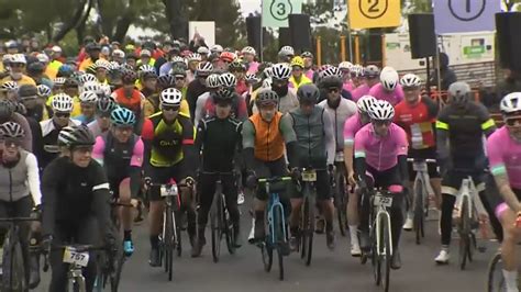 7NEWS Team members among hundreds taking part in annual Best Buddies Challenge bike ride