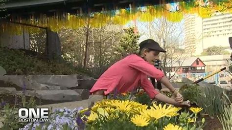 7NEWS team members assist with One Boston Day beautification project at Martin’s Park in Boston