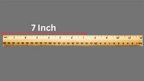 7inch To Cm