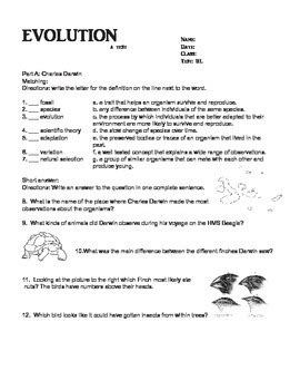 7th Grade Evolution Test 330 Plays Quizizz 7th Grade Worksheet For Evelotion - 7th Grade Worksheet For Evelotion