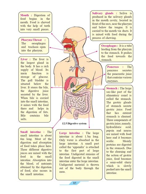 7th Standard Science Digest