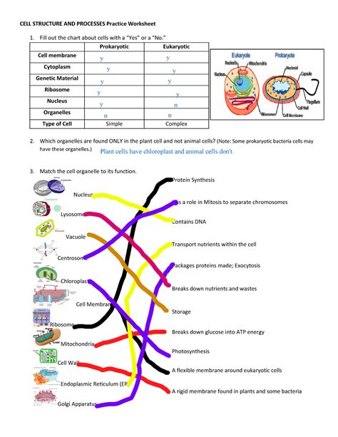 Read Online 7Th Grade Interactive Science Study Guide Answer 