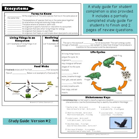 Download 7Th Grade Science Sol Study Guide 