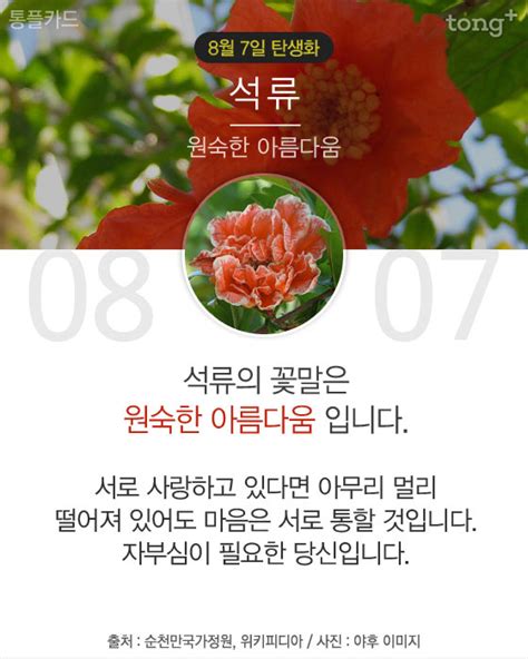 8월 7일 탄생화 석류 뜻, 의미, 유래, 꽃말