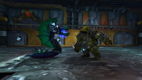 8 1 5 Brawler S Guild Walkthrough