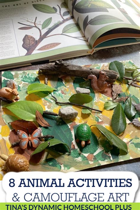 8 Animal Camouflage Activities and Resources & Fun … - muktibox.com