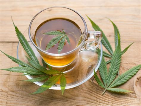 8 Amazing Benefits of Hemp Tea Blog Canna Union