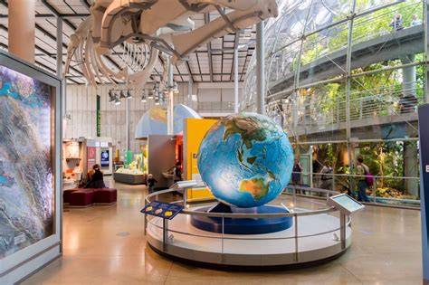 8 Best Science Museums In NYC To Explore Today - raincitystudios.com