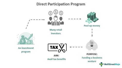 8 Benefits Of A Direct Participation Program You Can’t …