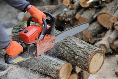 8 Best Chainsaw For Trenching - Cut LOG Pro