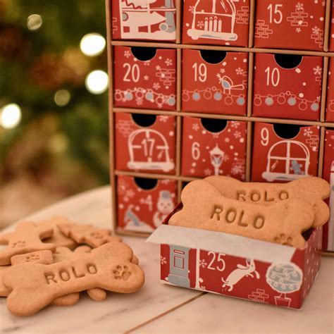 8 Best Dog Advent Calendars for 2020 Daily Paws