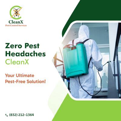 8 Best Pest Control Services in Stafford, VA 2024