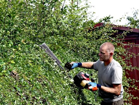 8 Best Tool for Cutting Ivy in Your Garden – Big Organic Garden