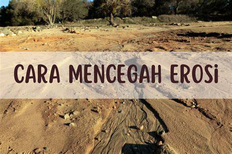 8 Cara Mencegah Erosi Tanah - raincitystudios.com