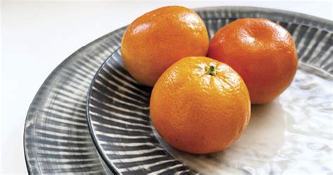 8 Expert Tips for Making Perfect Plates - muktibox.com