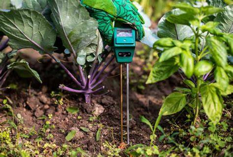 8 Genius Hacks for Keeping Soil Moist Without Constant Watering - raincitystudios.com
