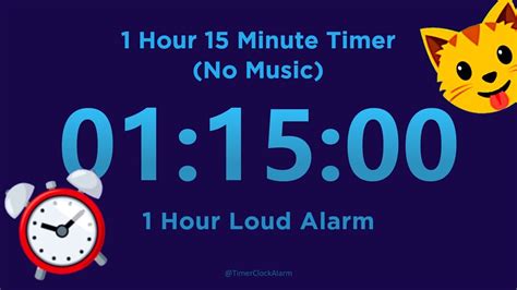 8 Hour 15 minute Timer Countdown (No Music) + 1 Hour Loud …