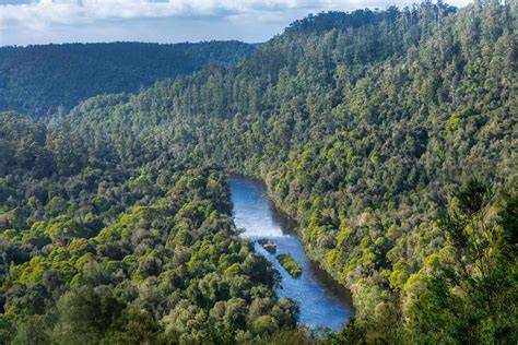 8 Incredible Rainforest Destinations Around the World - raincitystudios.com