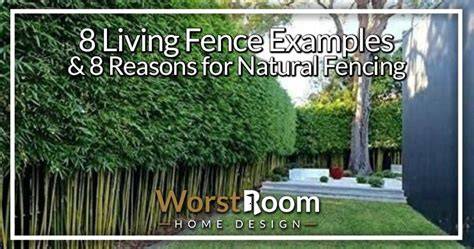 8 Living Fence Examples & 8 Reasons for Natural Fencing - raincitystudios.com