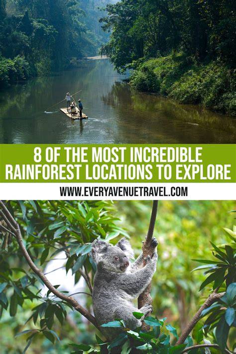 8 Of The Best Rainforest Locations To Visit In The World - raincitystudios.com
