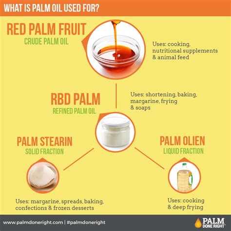 8 things to know about palm oil - WWF - raincitystudios.com