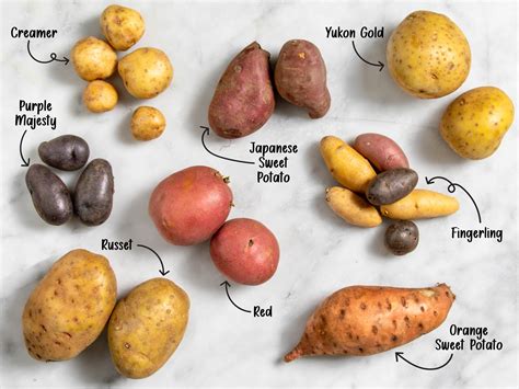 8 Types of Potatoes & The Best Ways to Cook Them | Ultimate Potato Guide (2026)