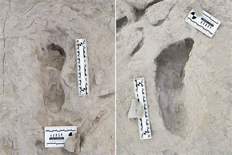 8 Unbelievable Ancient Footprints That Tell Tales of ... - NewsBreak - wintechmobiles.com