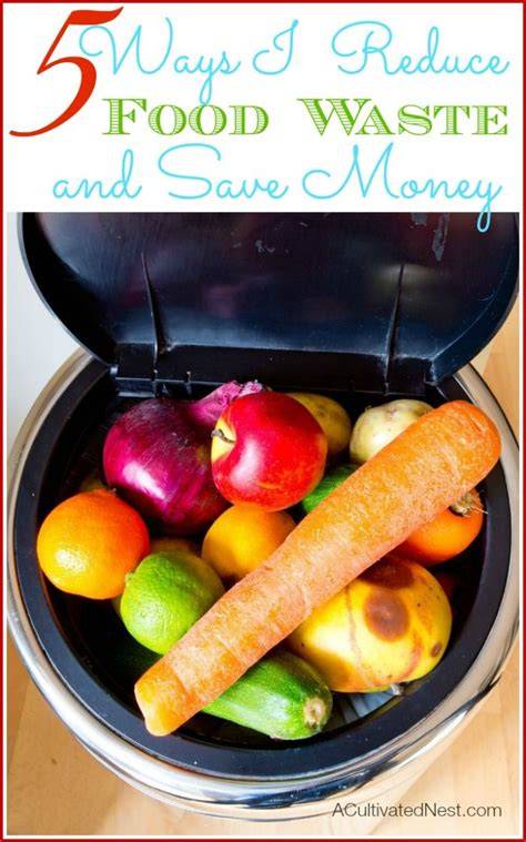 8 Ways to Reduce Waste to Save Money & the Planet - raincitystudios.com