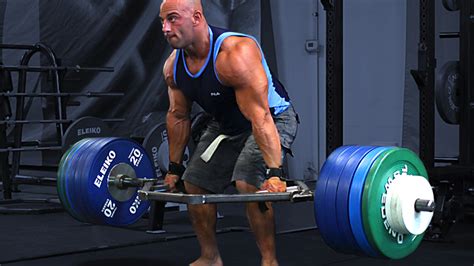 8 Week Quad and Hamstring Assault