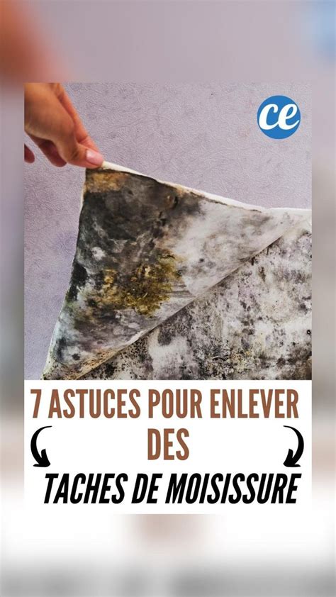 8 astuces pour enlever une tache de moisissure sur du tissu