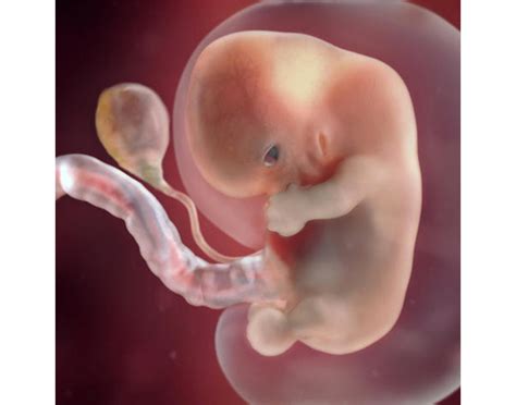 8 aylık bebek görüntüsü