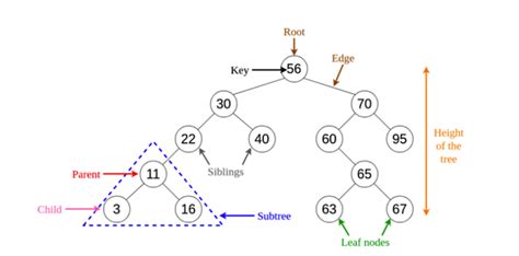 8 basic data structures plus a guide to algorithms - Blog