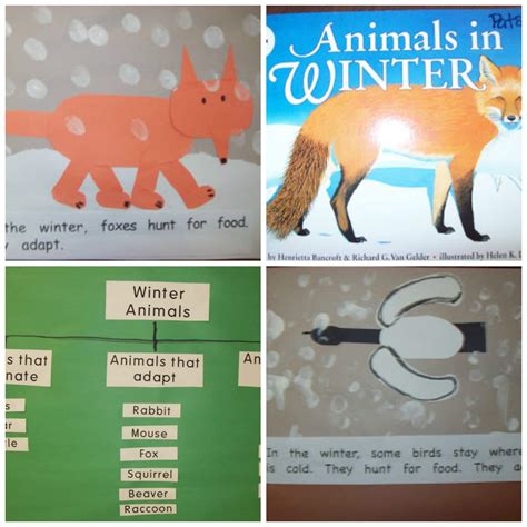 8 Hibernation And Migration Ready To Go Resources Hibernation Science Experiments - Hibernation Science Experiments