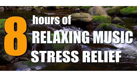 8 hours relaxing music. Published Dec 1, 2015. Get your full album copy on iTunes: Join my website. 8 Hours Long Music Video to help you Sleep all night long, Sleeping Music and Yoga Nidra Music to give you all the best relaxation you need to spend a restful night. SleepMusicRelaxZone is part of Meditation Relax Club group and it's your free relaxation YouTube channel ... 