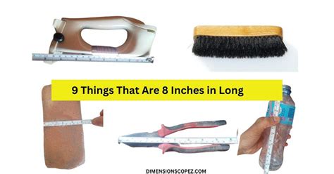 8 Inches