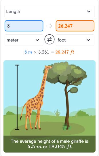 8 To Meters